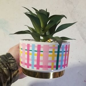 Packed Party Potted Faux Plant